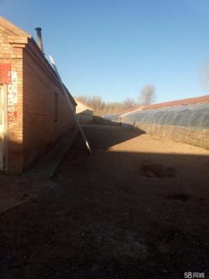 赤峰附近養(yǎng)殖場(chǎng)電話號(hào)碼查詢-第1張圖片