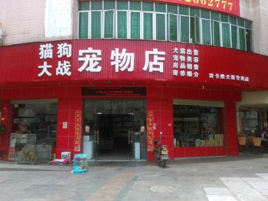 赤峰寵物店賣貓的電話號(hào)碼-第1張圖片