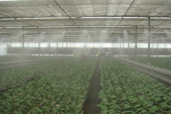 赤峰高壓噴霧機出租電話號碼-第1張圖片