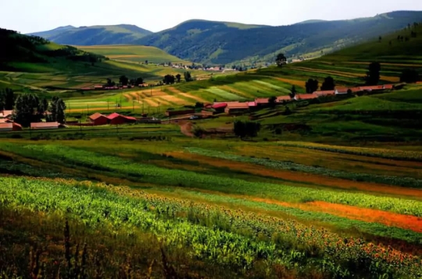 赤峰市松山農(nóng)電局電話號碼-第1張圖片