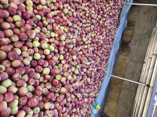 赤峰蘋果直營店電話號(hào)碼查詢-第1張圖片