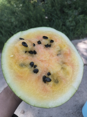 赤峰賣血去哪里-第1張圖片