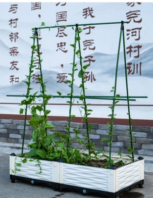 赤峰摩爾城攀爬架廠家電話號碼-第1張圖片