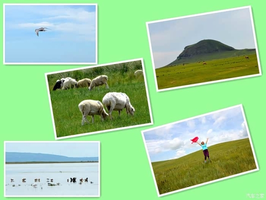 赤峰伊貝月餅店電話號(hào)碼查詢-第1張圖片