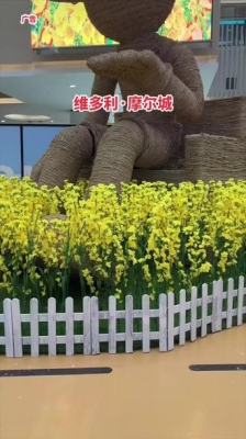 赤峰摩爾城撿狗電話多少號(hào)-第1張圖片