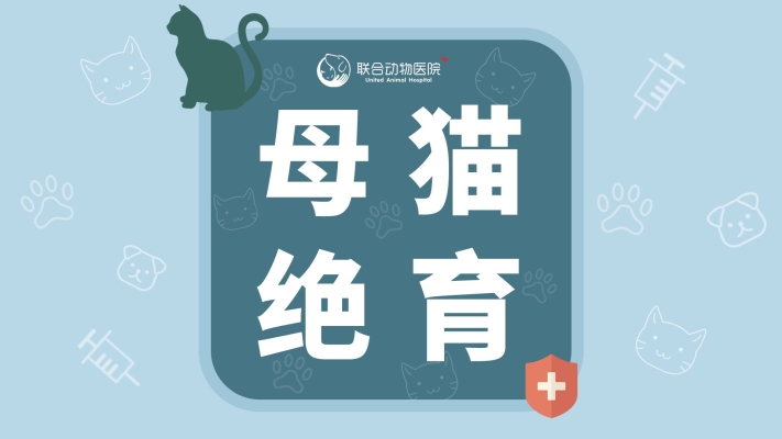 赤峰聯(lián)合動(dòng)物醫(yī)院電話號(hào)碼是多少-第1張圖片