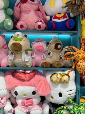 赤峰市娃娃屋電話號(hào)碼查詢-第1張圖片