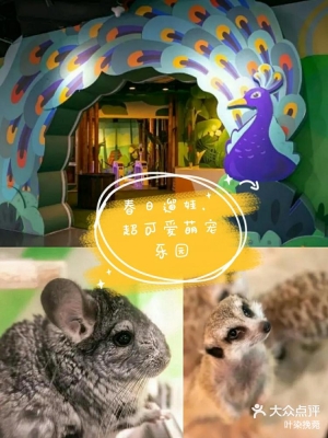 赤峰萌寵寵物樂(lè)園電話號(hào)碼查詢(xún)-第1張圖片