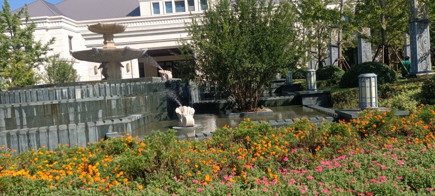 赤峰梧桐鮮花店電話號(hào)碼多少-第1張圖片