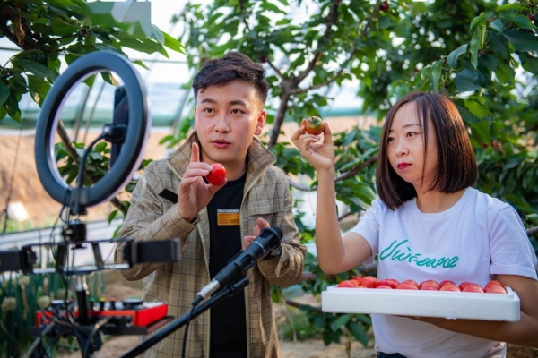 赤峰市蛋糕直播基地電話號碼-第1張圖片