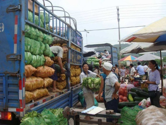 赤峰鹿茸血批發(fā)市場(chǎng)電話號(hào)碼-第1張圖片