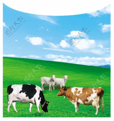 赤峰育肥牛羊養(yǎng)殖基地電話號(hào)碼-第1張圖片