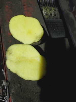 赤峰市土豆干洗廠電話地址查詢-第1張圖片