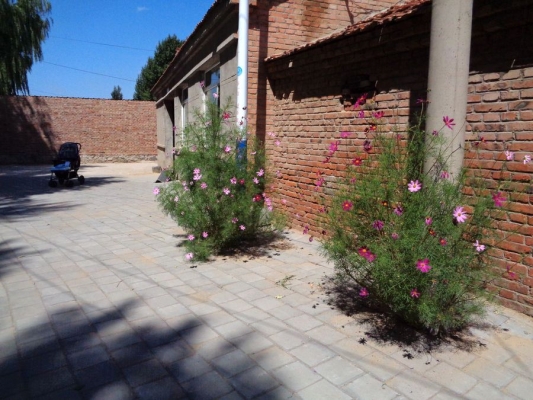 赤峰紅廟子煙花廠電話號碼查詢-第1張圖片