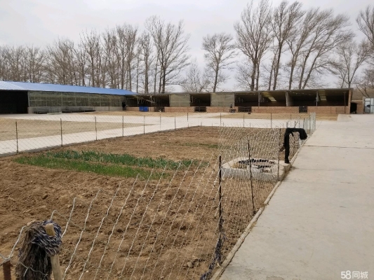 赤峰萬商大院家紡店電話號碼-第1張圖片