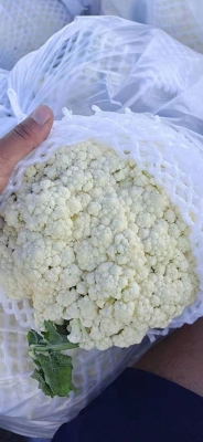 赤峰白柳超市采購部電話號碼-第1張圖片