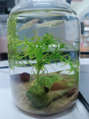 赤峰二手小魚缸出售電話號(hào)碼-第1張圖片