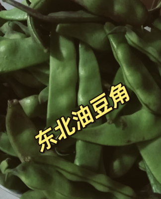 赤峰豆角價(jià)格圖-第1張圖片