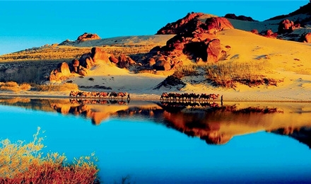 赤峰玉龍收費(fèi)站電話號碼是多少-第1張圖片