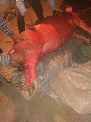 赤峰附近活?，F(xiàn)殺廠電話號(hào)碼-第1張圖片