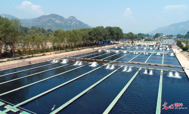 赤峰市鱘魚養(yǎng)殖場電話號碼-第1張圖片