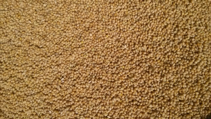 赤峰黑頂膜加工廠電話號碼-第1張圖片