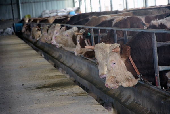 赤峰松山區(qū)大型超市-第1張圖片