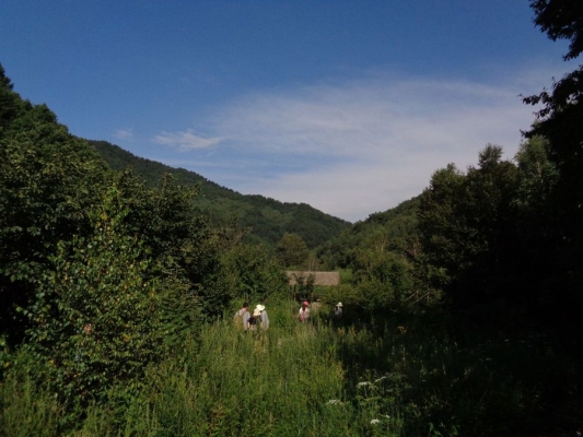 赤峰官倉溝車管所電話號碼-第1張圖片