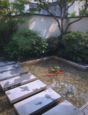 赤峰市清理魚池電話號碼是多少-第1張圖片