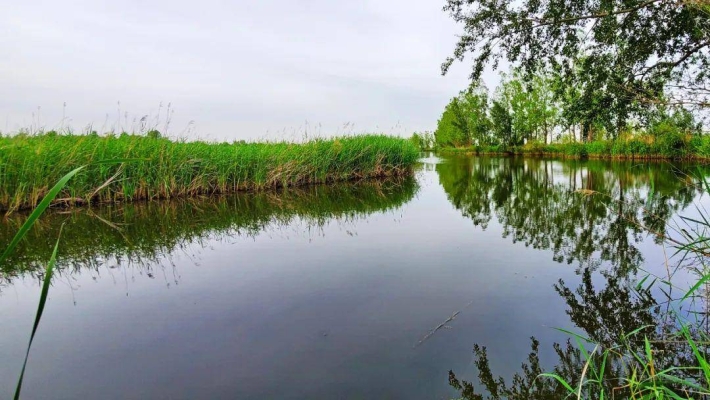 老哈河釣魚-第1張圖片