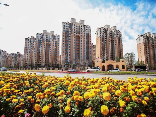 赤峰百合煙花代理電話地址查詢-第1張圖片