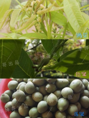 赤峰市手串店面電話地址查詢-第1張圖片