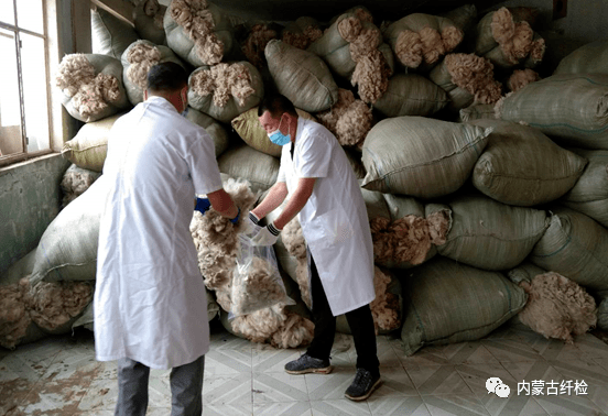 赤峰回收羊毛電話多少號(hào)碼-第1張圖片