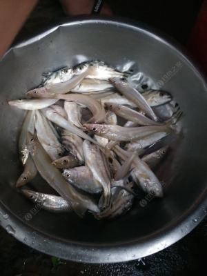 赤峰市錦山釣魚(yú)地點(diǎn)電話(huà)號(hào)碼-第1張圖片