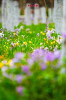 赤峰花火網(wǎng)吧電話號(hào)碼多少號(hào)-第1張圖片