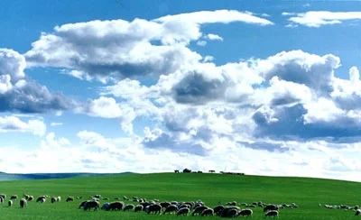 赤峰射箭訓(xùn)練基地電話多少號-第1張圖片