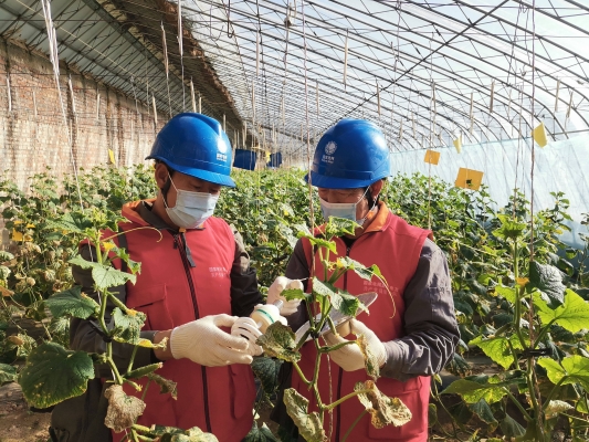 赤峰拼車到灤平電話多少號(hào)-第1張圖片