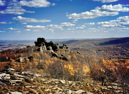 赤峰林西縣檸檬酒店電話號碼-第1張圖片