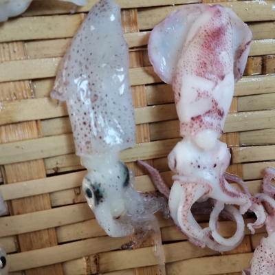 赤峰鮮活水產(chǎn)海鮮店電話號碼-第1張圖片