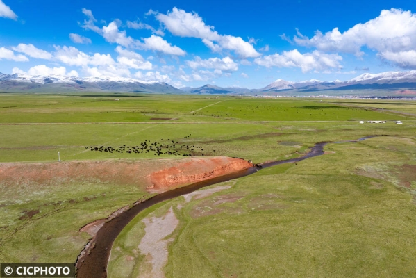 赤峰沁園足浴店電話號(hào)碼多少-第1張圖片