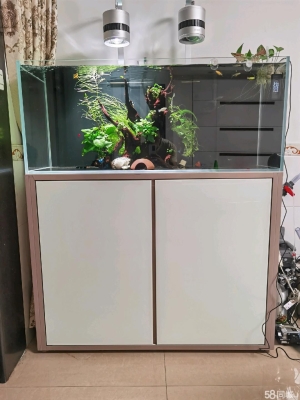 赤峰收二手魚缸電話地址查詢-第1張圖片