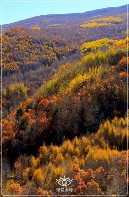 赤峰寧城裁縫店電話號碼多少-第1張圖片