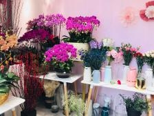 赤峰花田花藝店電話多少號(hào)-第1張圖片