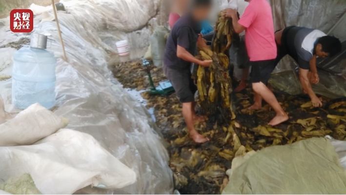 赤峰酸菜加工廠電話號碼查詢-第1張圖片