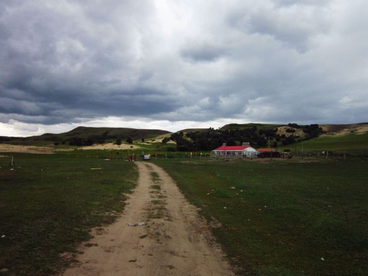 赤峰元寶山面館電話號碼-第1張圖片