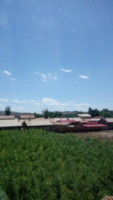 赤峰市初頭朗公交-第1張圖片