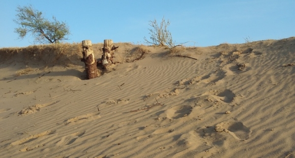 赤峰市敖漢旗農(nóng)機(jī)局電話號(hào)碼-第1張圖片