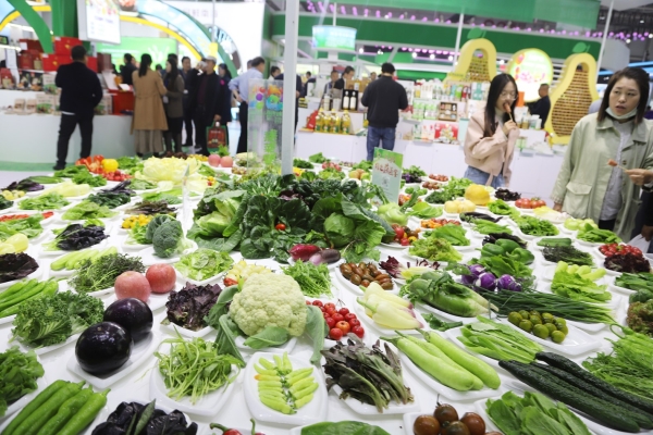 赤峰工裝展臺電話地址是多少號-第1張圖片