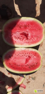 赤峰翠姐西瓜種植基地電話號(hào)碼-第1張圖片