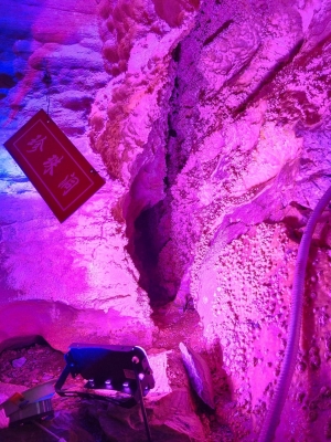 赤峰奇子熟食店電話地址查詢-第1張圖片